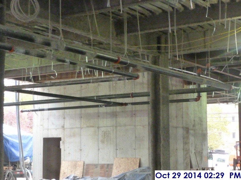 Main Sprinkler piping at the 1st Floor Facing North-East (800x600)